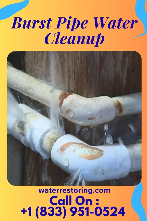 Burst Pipe Water Cleanup in Remington, OH
