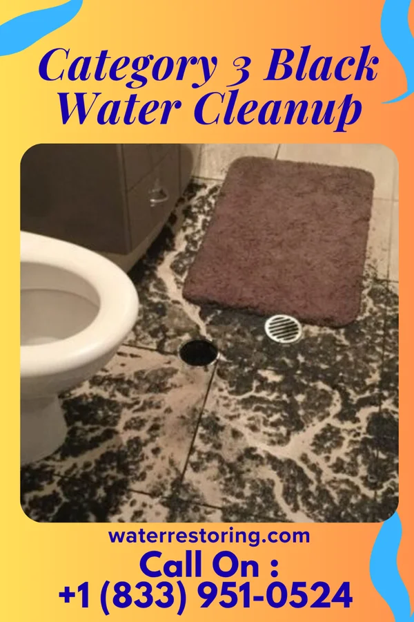 Category 3 Black Water Cleanup in Remington, OH