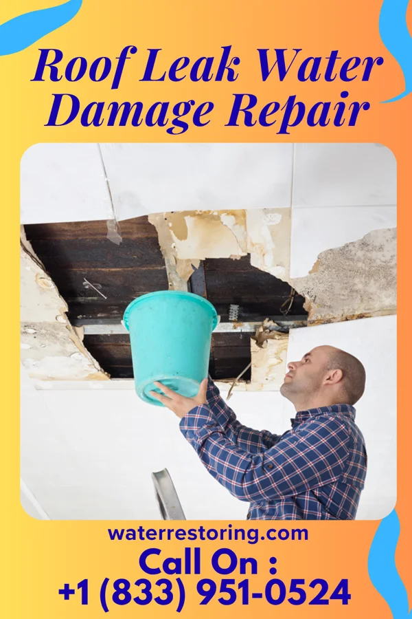 Roof Leak Water Damage Repair in Remington, OH