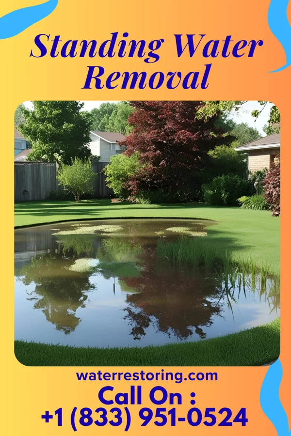 Standing Water Removal in Remington, OH